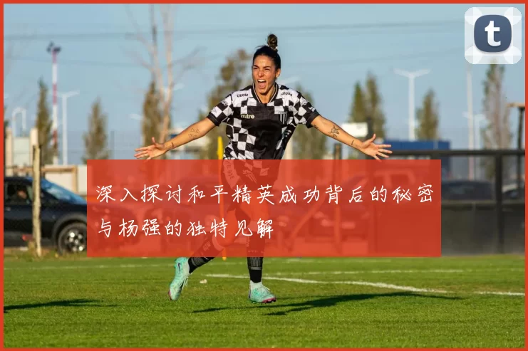 深入探讨和平精英成功背后的秘密与杨强的独特见解