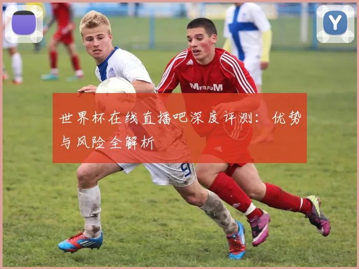 世界杯在线直播吧深度评测:优势与风险全解析
