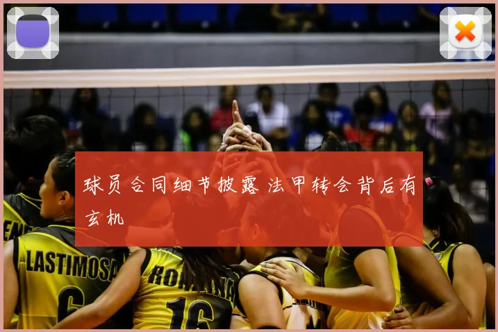 球员合同细节披露 法甲转会背后有玄机