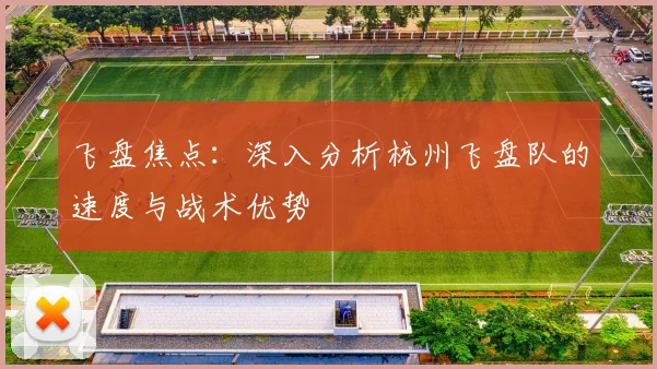 飞盘焦点：深入分析杭州飞盘队的速度与战术优势