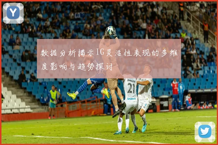 数据分析揭示IG灵活性表现的多维度影响与趋势探讨