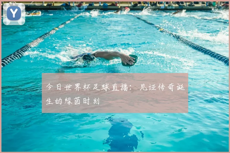 今日世界杯足球直播:见证传奇诞生的绿茵时刻