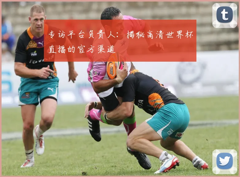 专访平台负责人:揭秘高清世界杯直播的官方渠道