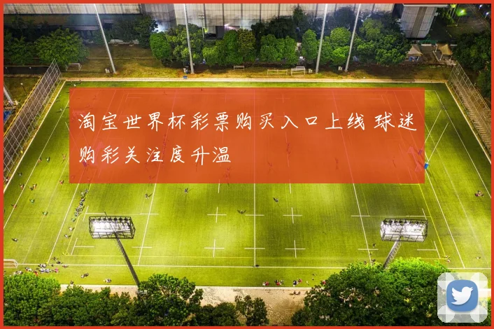 淘宝世界杯彩票购买入口上线 球迷购彩关注度升温