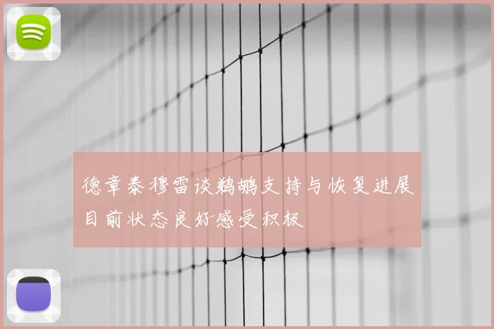 德章泰穆雷谈鹈鹕支持与恢复进展目前状态良好感受积极
