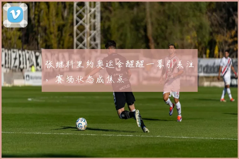 张继科里约奥运会醒醒一幕引关注,赛场状态成焦点